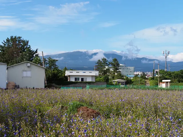 Utilizing Solar Energy: Delving into Sustainable Power Sources