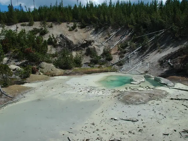 City water tankers regularly deployed for Offenbach's City Green