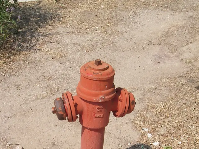 Fire Hydrant Surrounding Landscape: Tips for Design and Safety in Landscaping Near Fire Hydrants