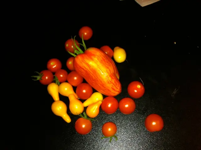 Simple Fruits Thriving in Limited Areas