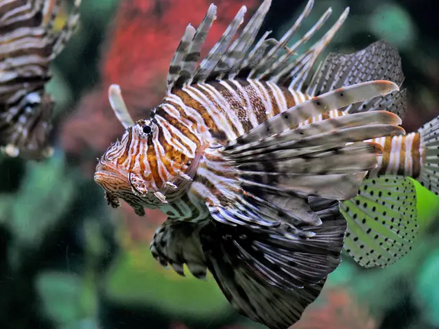 2019 Ocean Art Wide Angle Category Winner: Nicholas More