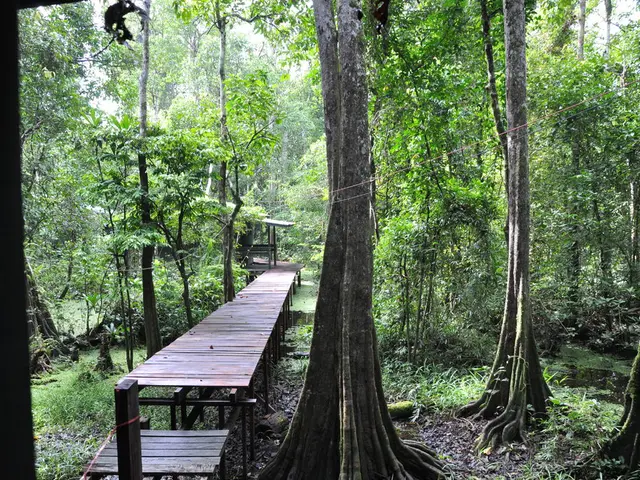 Week of Green Wood Focus