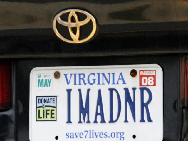 strategies for generating unique concepts for customized license plates