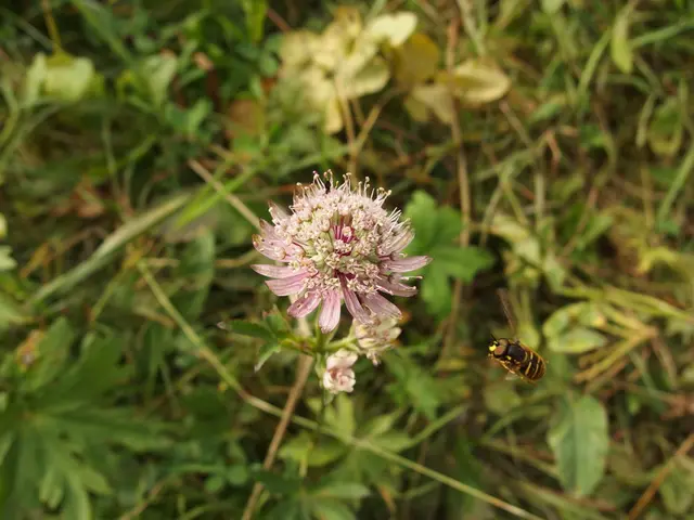 Harmless-Seeming Garden Pests That Can Wreak Havoc on Your Flora