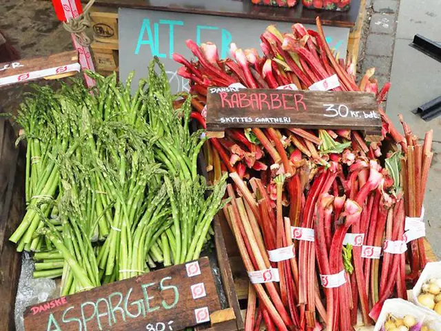 Sustainable Garden Accessories: Enhance Your Garden with Eco-Friendly Tools