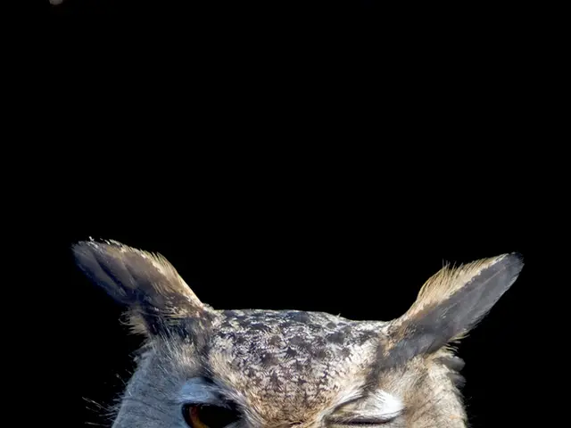 Available positions for vocational training in OWL region