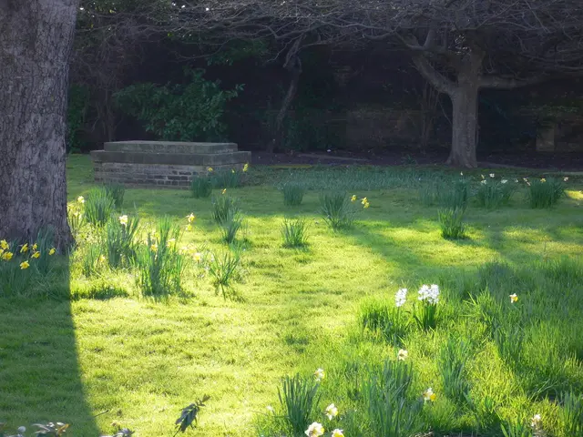 Seven Practical Methods for Exploring Medicinal Herbs that Spark Interest in Nature's Healing...