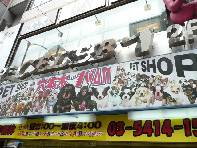 Investigatory Body Uncovers Evidence of Misconduct