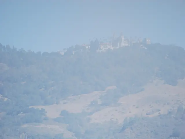 Adoptions of wild horses and burros are available on our Colorado-based website, situated in Canon...