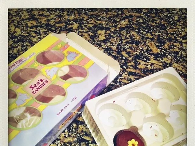 Top automation in pet feeding 2025: Simplify meal preparations for pet owners