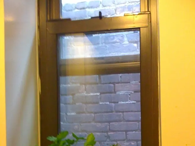 Advantages and Disadvantages of Cultivating Wisteria Plants in Gardens