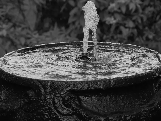 Water Efficiency through Micro-Irrigation: When Is It Profitable and Correct Installation Methods