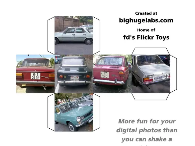 Virtually any vehicle type finds suitable accommodation on this platform.