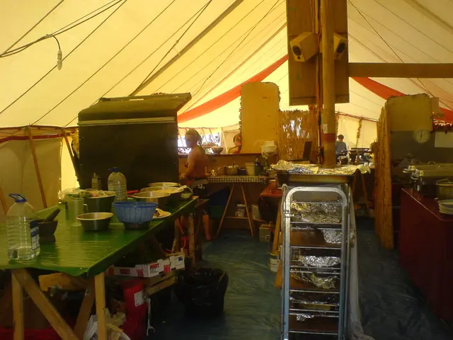 Mastering Pressure Cooking Basics: A Guide to Efficiently Utilizing Your Pressure Cooker