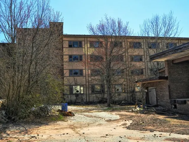 Overgrown ivy-covered abandoned dwelling hits the auction block