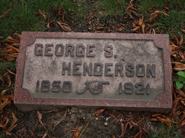 Jade Plant Encountering Droopiness? Identify 7 Typical Reasons and Methods to Revive It