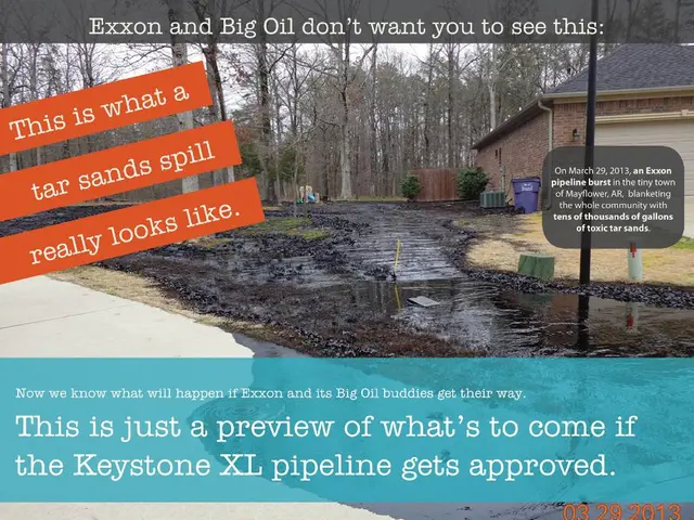 Commission contributed to the report's preparation.