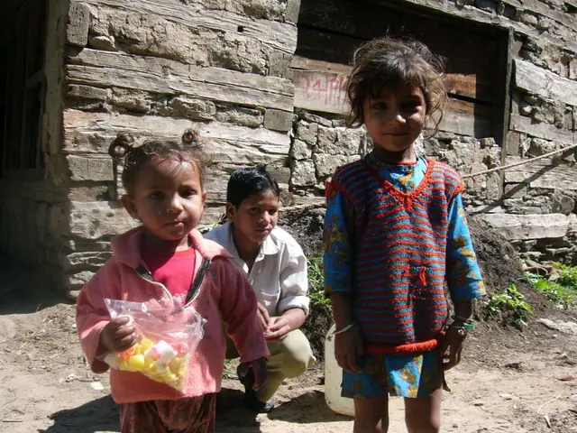 Top 12 Gardening Kits Encouraging Hands-On Learning, Triggering Astonishment with Nature's Magic