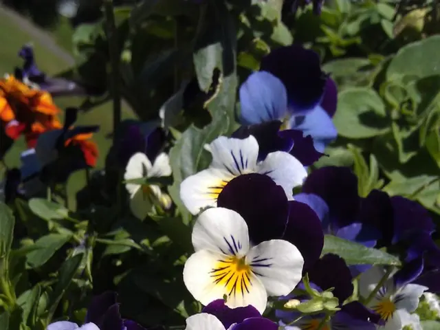 Indoor Plants to Shun: Citing Specialists, These 5 Species Have a Reputation for Bringing...