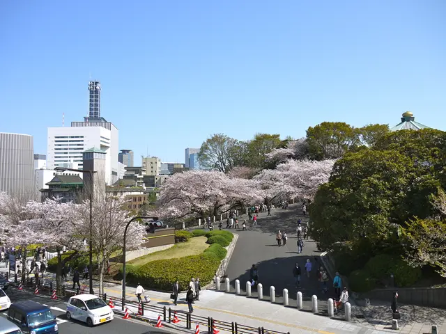 This image is clicked from a top view. There are roads in the image. At the bottom there are cars...