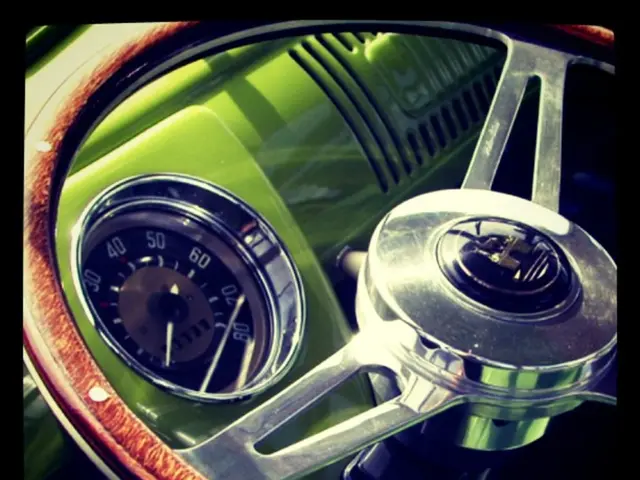 In this picture we can see steering, gauge and buttons.