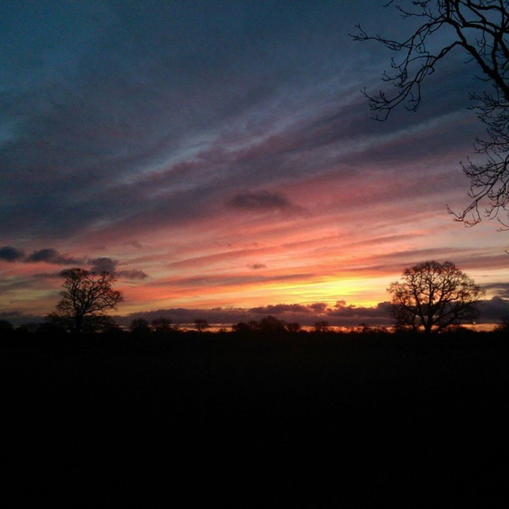 Elevate your footwear game for the sandal season! Check out these 11 chic pedicure styles, as...